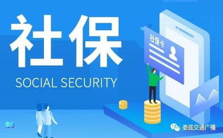 婁星區(qū)稅務局為您解讀減稅降費相關稅收政策及辦稅服務舉措